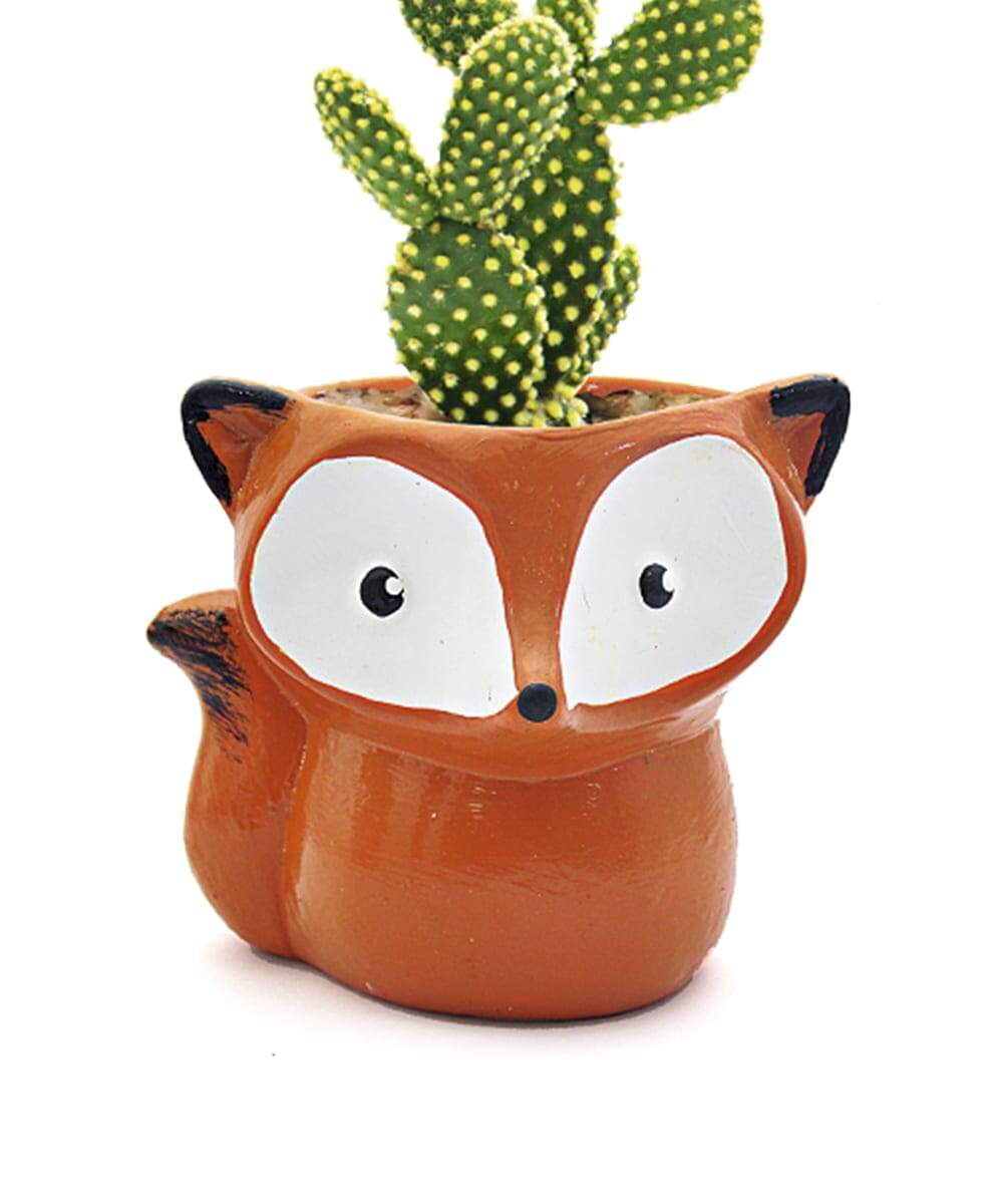 Itens de decoração Catálogo LARC