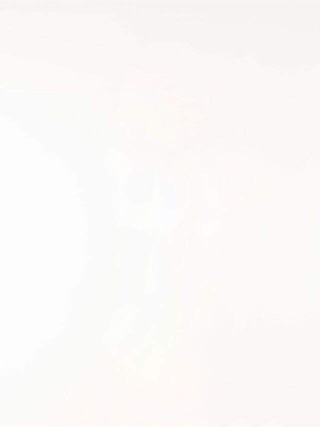 bg-webstorie