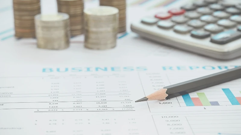 Como Organizar Seus Lucros da Revenda 1