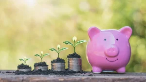 Read more about the article Independência Financeira: De uma Simples Renda Extra ao Empreendedorismo